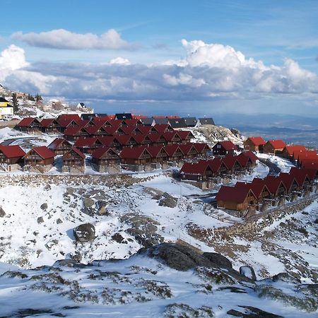Luna Chalets Da Montanha - Serra Da Estrela Covilhã Dış mekan fotoğraf