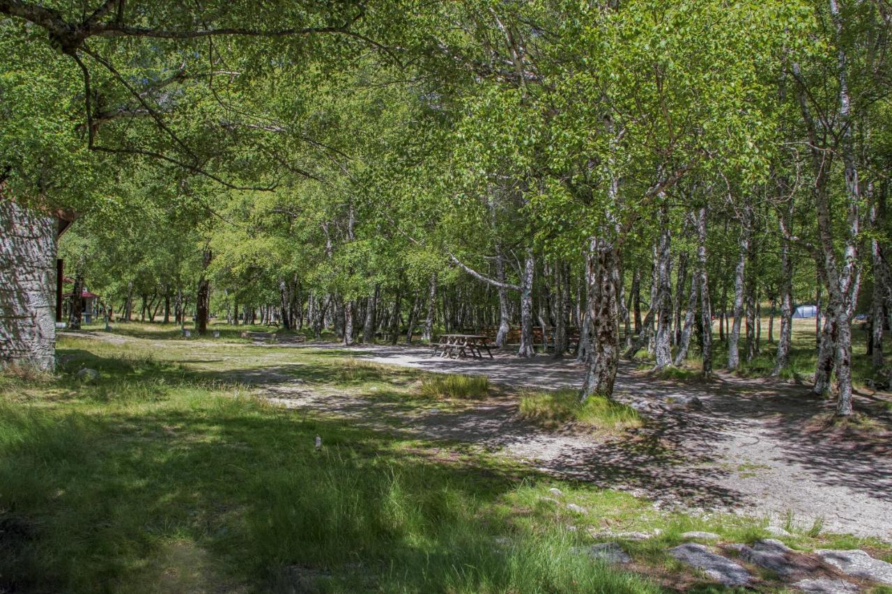 Luna Chalets Da Montanha - Serra Da Estrela Covilhã Dış mekan fotoğraf